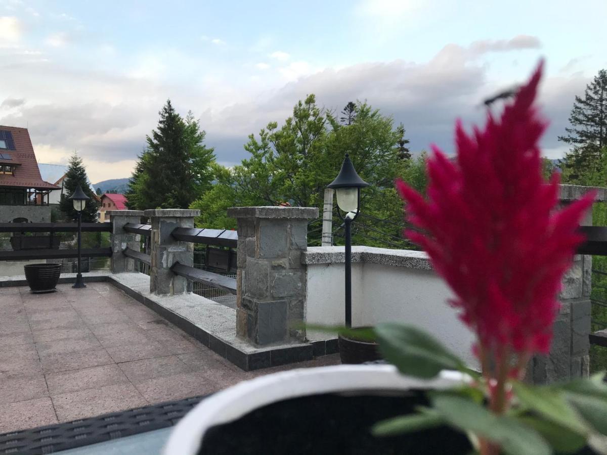 Vila Terase Hotel Синая Екстериор снимка