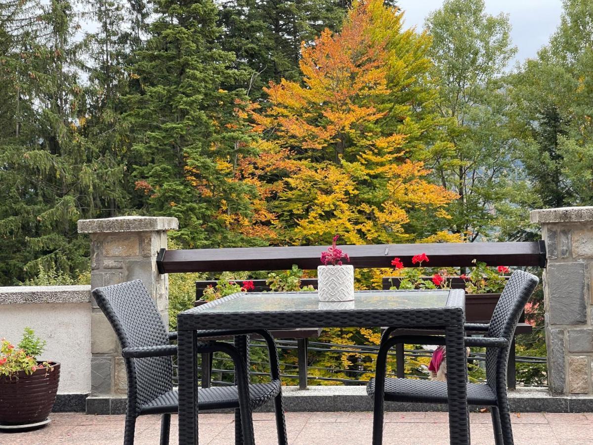 Vila Terase Hotel Синая Екстериор снимка
