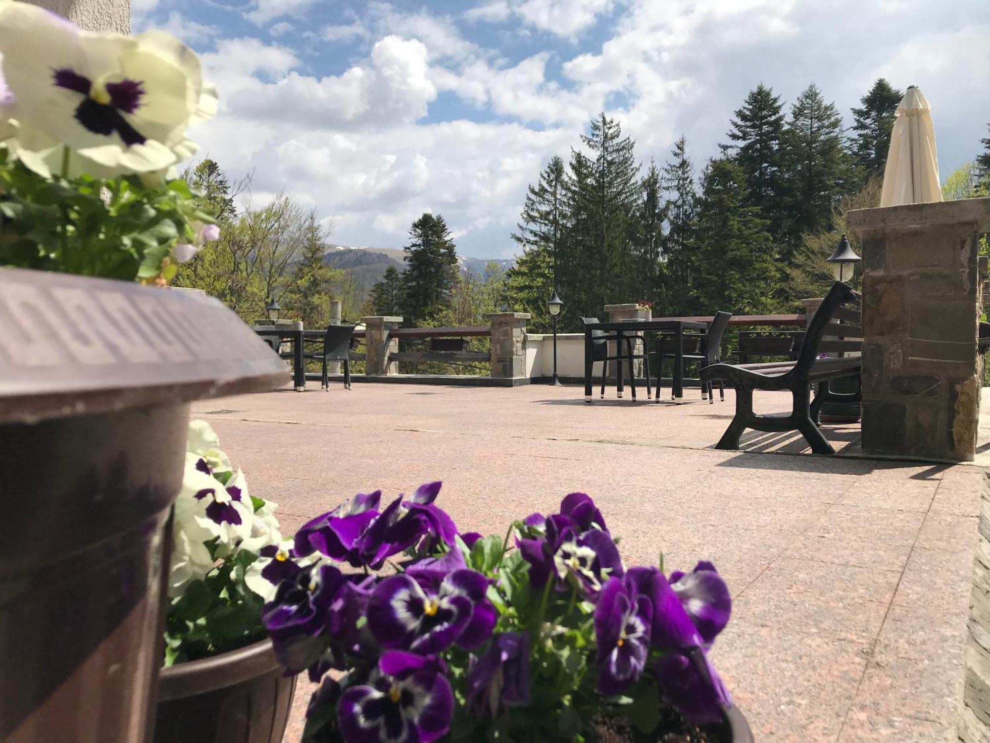 Vila Terase Hotel Синая Екстериор снимка