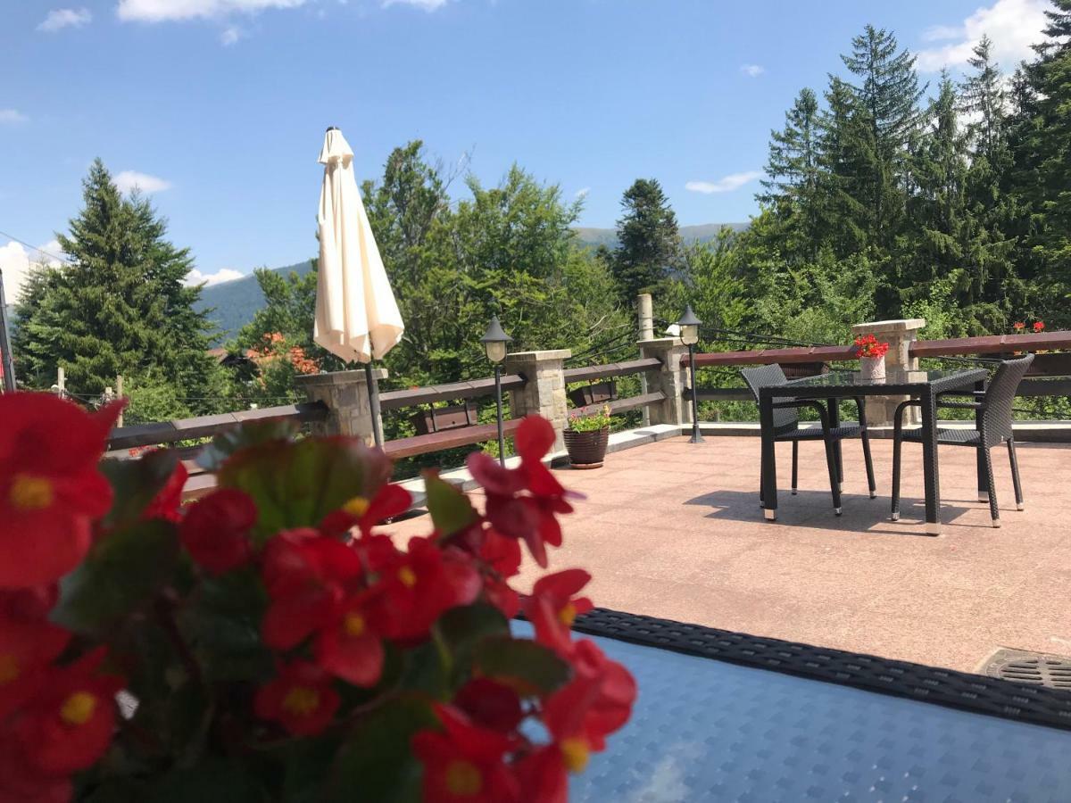 Vila Terase Hotel Синая Екстериор снимка